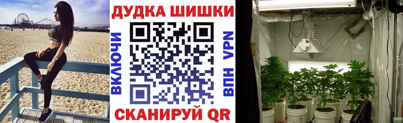 купить закладку  Лабытнанги  Марихуана план 